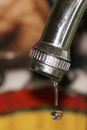 Home Local building project